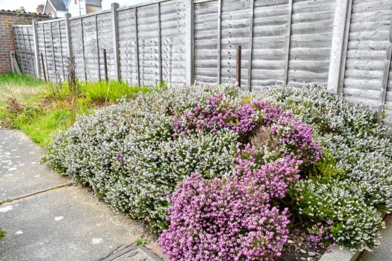Images for Wellesley Street, Taunton EAID: BID:Bennett1